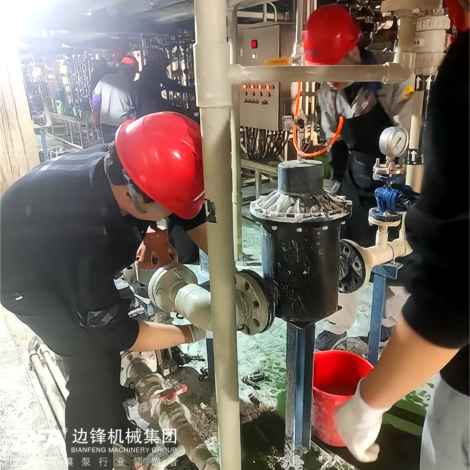 隔膜泵廠家水泵電機過載維修